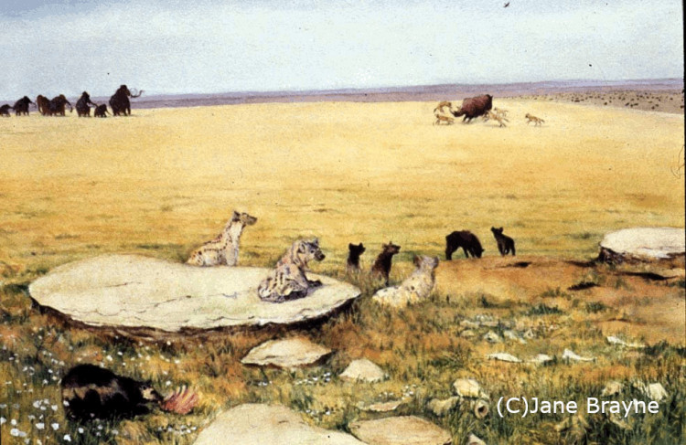 Talk : Hunters and Hyenas in Prehistoric Rutland