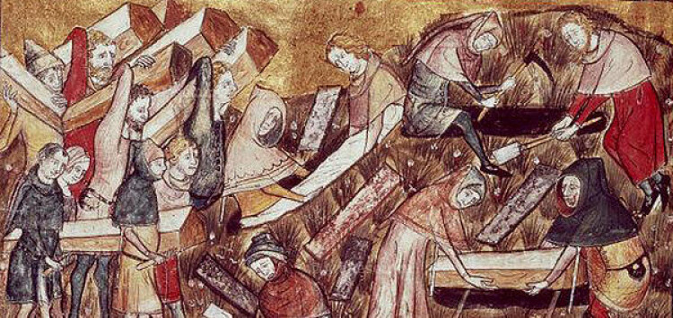 The Black Death ravaged Somerset in 1348-49, dramatically altering social and economic structures and paving the way for change and resilience.