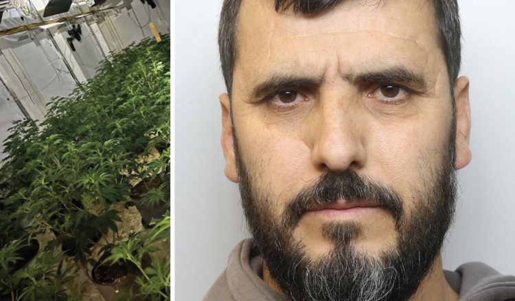 Voktot Isufaj has been jailed after a cannabis farm was discovered at an old bank in Macclesfield (Credit: Nub News)