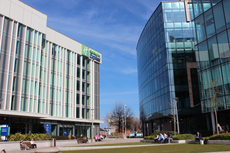 Revamping your office can boost productivity, well-being, corporate image, and sustainability, offering a cost-effective path to business success (Image - Nub News)