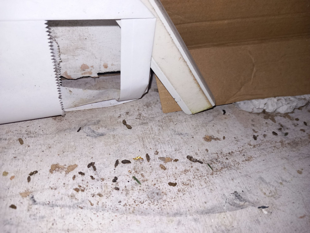 A hygiene inspection revealed a 'severe' mouse infestation, with surfaces and food packaging covered with droppings (Image via Stockport Council) A hygiene inspection revealed a 'severe' mouse infestation, with surfaces and food packaging covered with droppings (Image via Stockport Council)