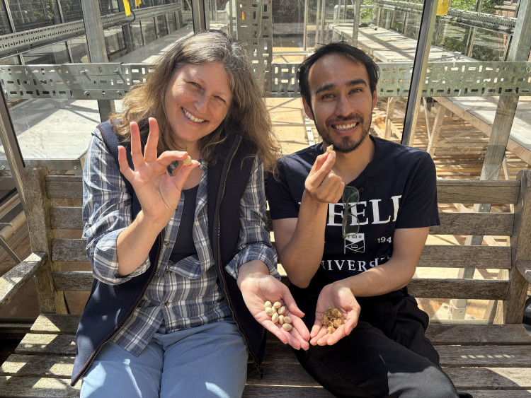 Dr Sarah Taylor and Franco Castro Escobar with the seeds at Keele University. (Supplied)