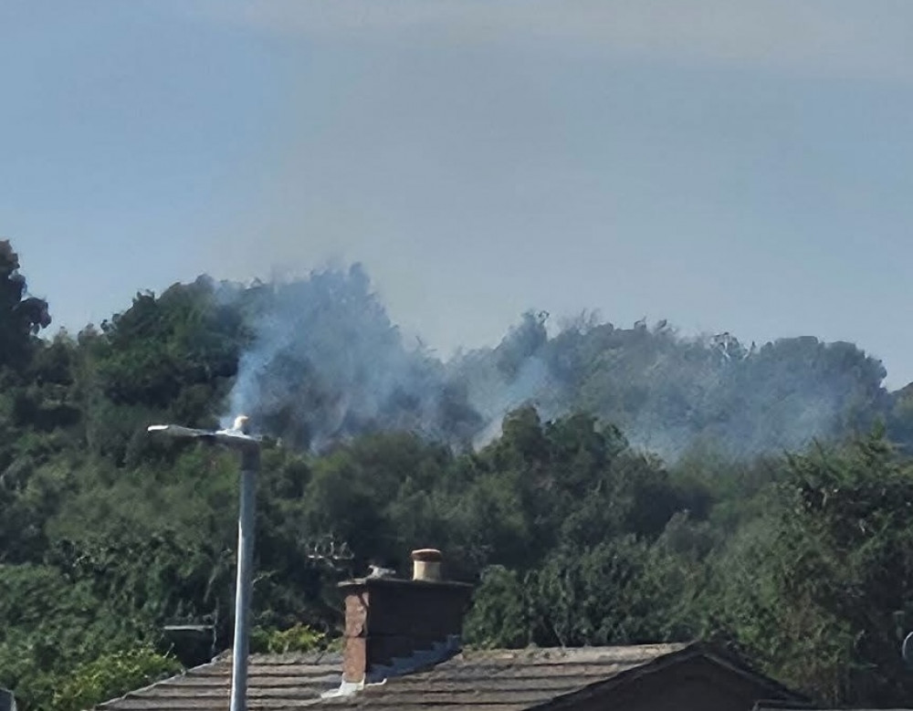 Nearby residents saw smoke at Park Hall Country Park this afternoon. (Supplied) Nearby residents saw smoke at Park Hall Country Park this afternoon. (Supplied)