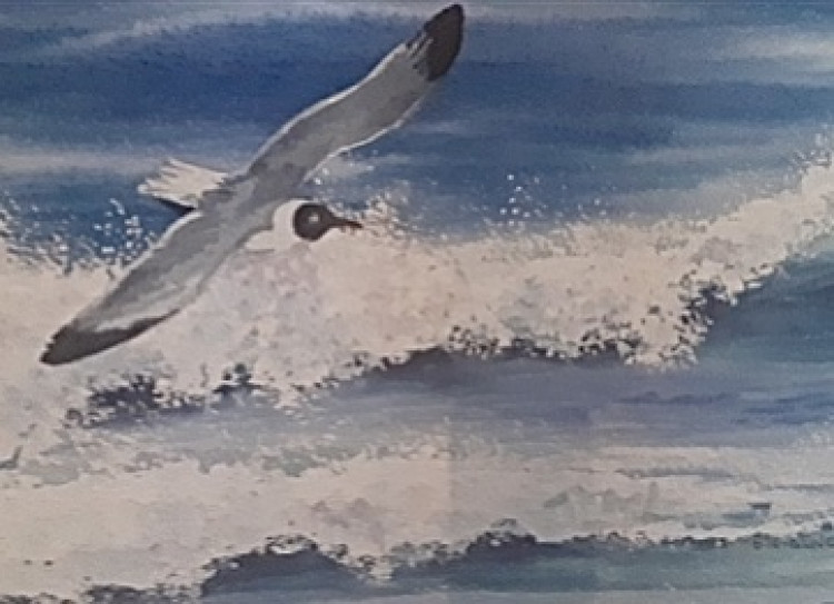 Watercolour Painting Retreat Watercolour Painting Retreat