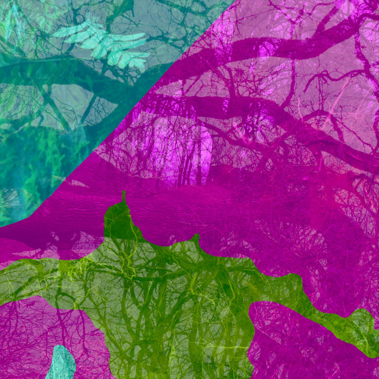 Tractored by Beetles Art Exhibition 
