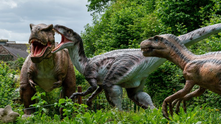 This summer, Wookey Hole launches its improved Dinosaur Experience, featuring lifelike models and family-friendly attractions alongside existing favourites.