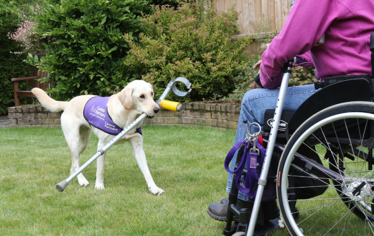Fishers Solicitors are collaborating with Canine Partners for their Ashby Connect Networking Event (Photo: Fishers Solicitors)