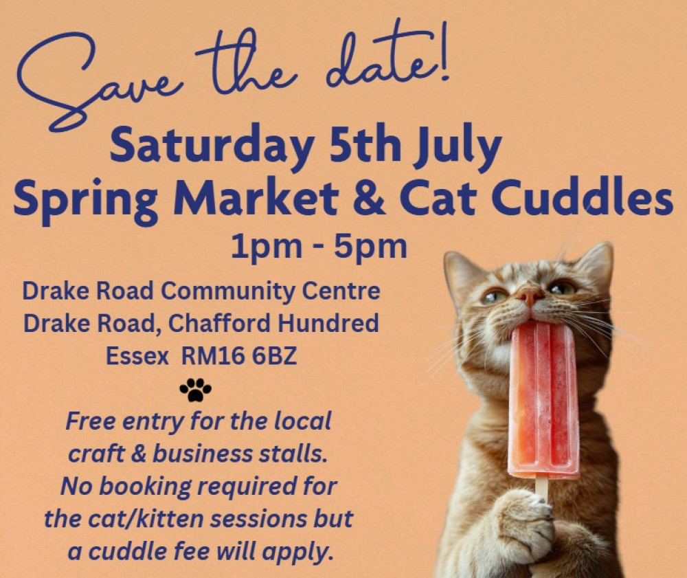Summer Market & Cat/Kitten Cuddles Summer Market & Cat/Kitten Cuddles