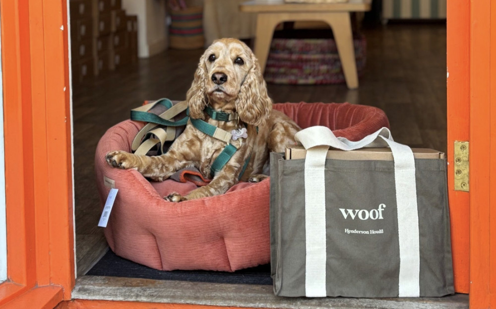 Leamington's Henderson Hound teams with The Spaniel Guru for special Spaniel-focused event (image via Henderson Hound)