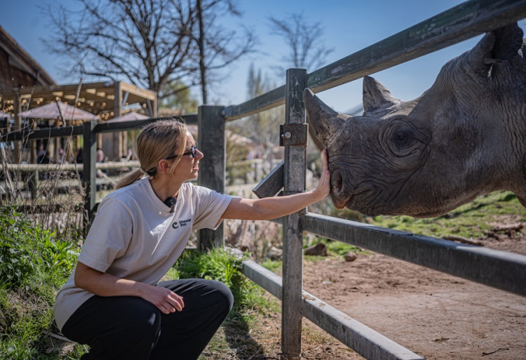 The six-part series offers listeners a unique glimpse into life at Chester Zoo (Image via: Chester Zoo)