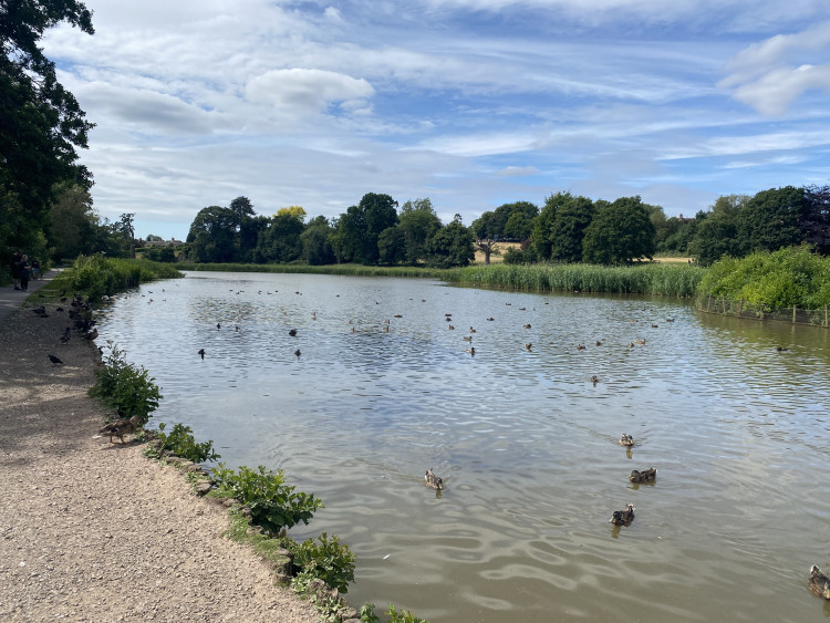 The 'Path For Our Future' consultation on Abbey Fields has come to an end (image by Nub News)