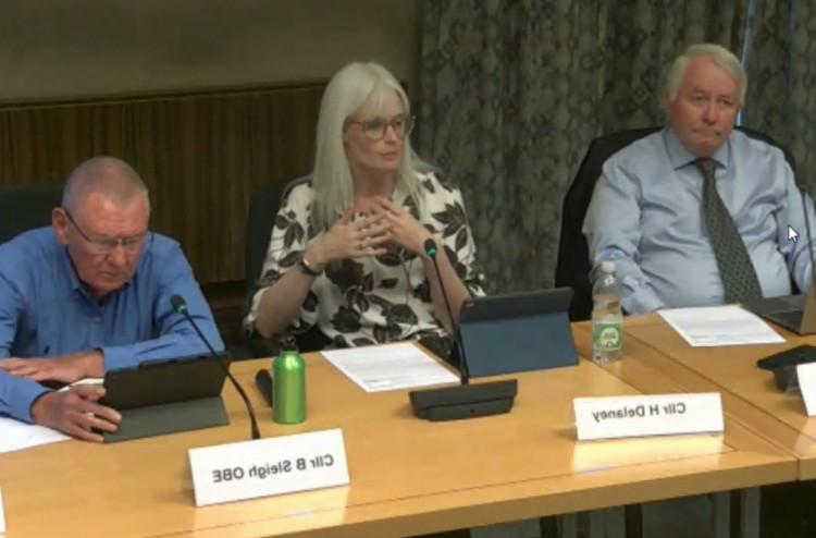Cllr Heather Delaney spoke on merging two parish councils in her ward (image via LDRS)