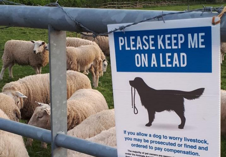 The man made a full admission to the police after the incident (image via Warwickshire Police)