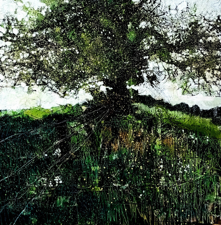 A Rich Earth A Rich Earth