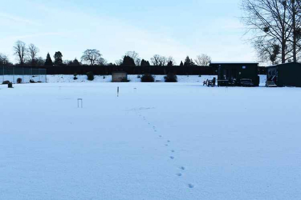 Signs of a fox on the lawns during lockdown