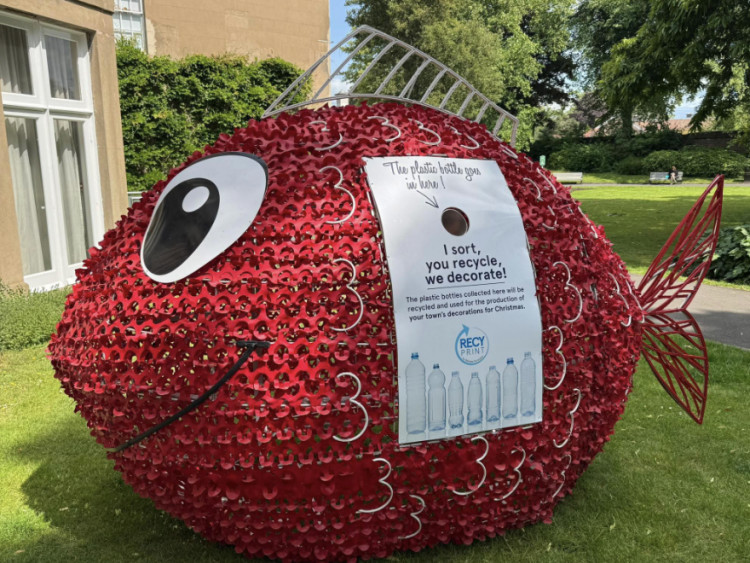 Warwick's fishy friend name revealed as Fin Diesel (image via Warwick Town Council) 
