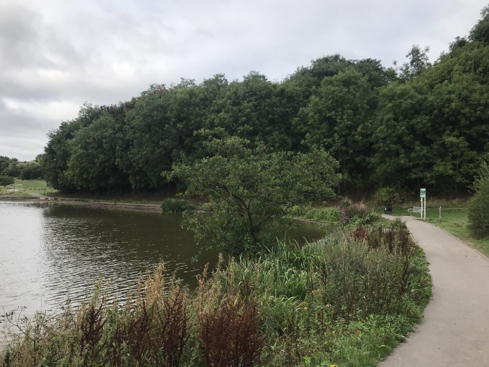 The police plane was sent up over Central Forest Park. (Jonathan Hutchins) The police plane was sent up over Central Forest Park. (Jonathan Hutchins)