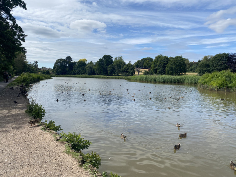 Here are the biggest planning stories from the last week in Kenilworth (image by Nub News)