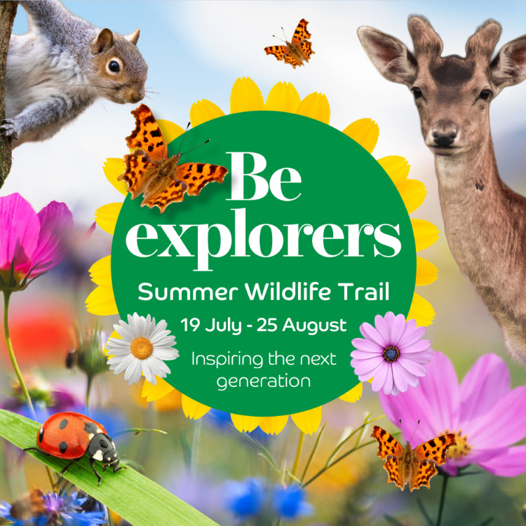 Be Explorers Summer Wildlife Trail