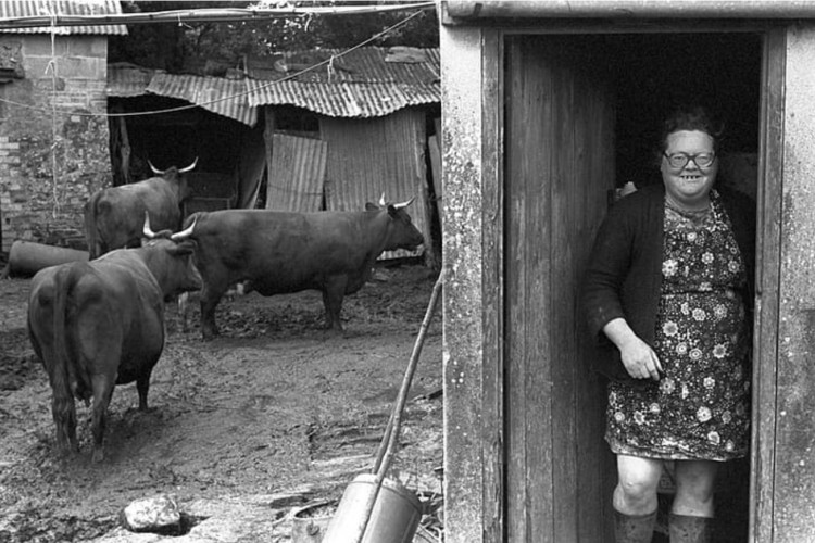 Arts Society Lecture on Photographer James Ravilious Arts Society Lecture on Photographer James Ravilious