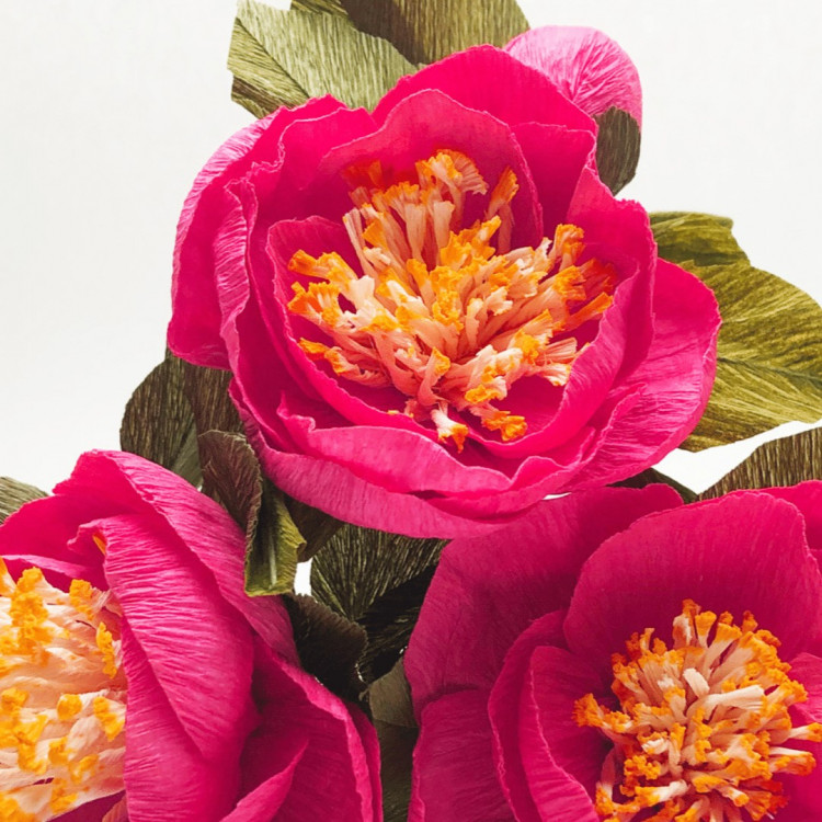Crepe Paper Flowers - Landmark Summer School