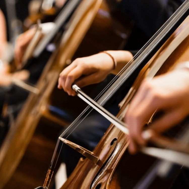 Modern Day Orchestra for Kids (ages 11-18) - Landmark Summer School Modern Day Orchestra for Kids (ages 11-18) - Landmark Summer School