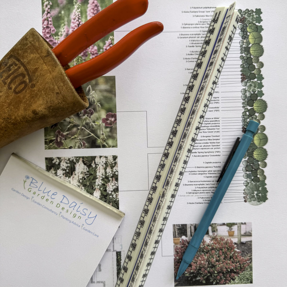 Blue Daisy Garden Design and Blue Daisy Gardening merge to benefit clients (image supplied)