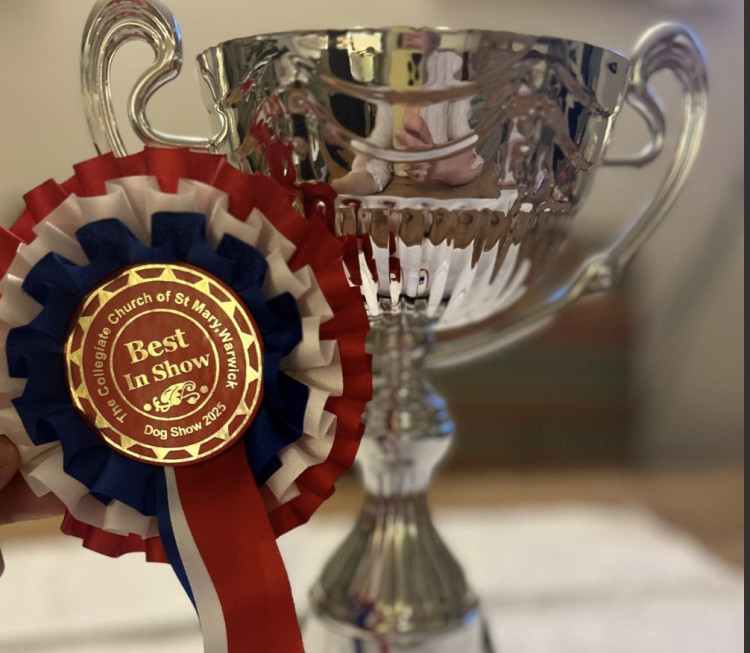 Warwick is set to host its first-ever Dog show this weekend (image supplied) 