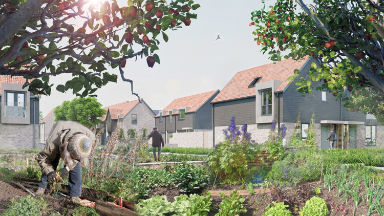 Pictured: An artist’s rendering of the new homes located next to the urban allotments (Image: Curo)