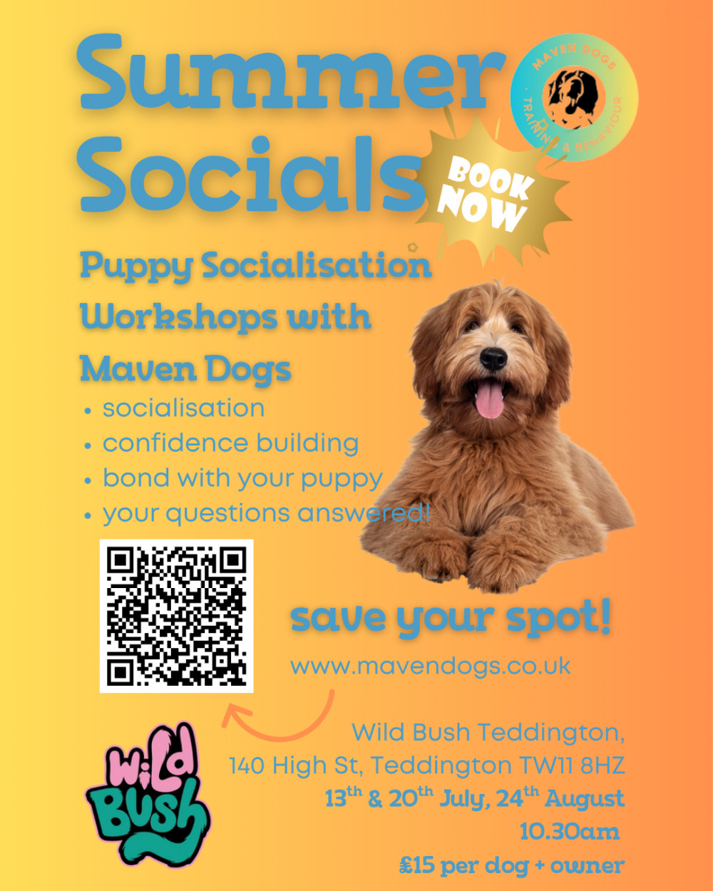 Build Puppy Confidence in 30 minutes