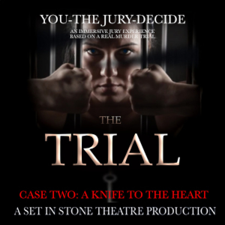 The Trial. Case 2 The Trial. Case 2