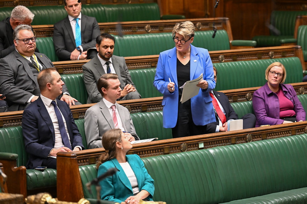 MP Sarah Dyke in Parliament. (Supplied) MP Sarah Dyke in Parliament. (Supplied)