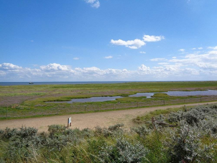 Willow Tree Holidays offer the opportunity for a home away from home this Summer in their gorgeous caravans by the sea (Photo: Willow Tree Holidays)