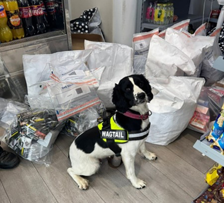Billy with some of the items he sniffed out