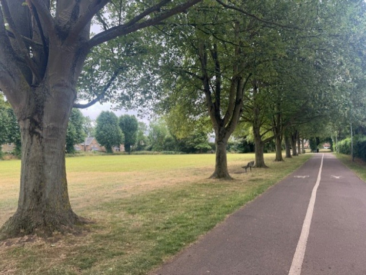 Do your bit to save trees in Hitchin 