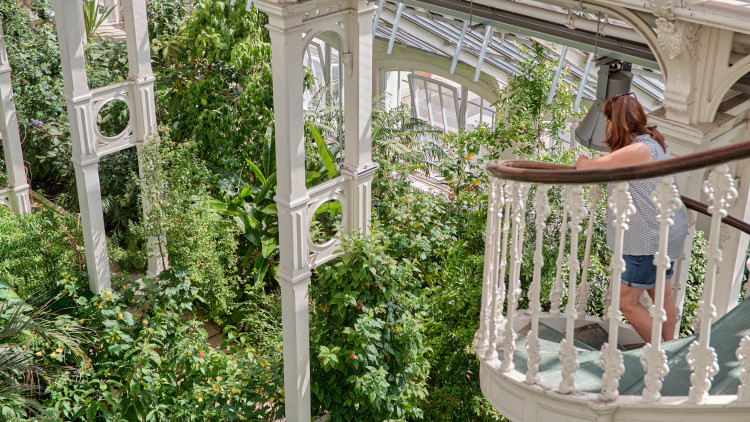 Kew Gardens ranked ninth and Richmond Park 18th in MyFUJIFILM’s Ultimate Selfie Map of the UK (credit: Oliver Monk).