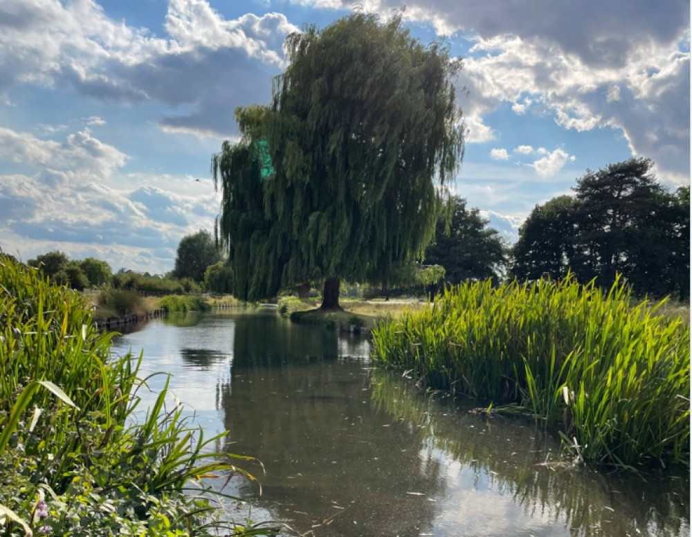 Seven people were found to be fishing illegally in Bushy Park's Canal Refuge yesterday evening (Credit: Royal Parks Police) Seven people were found to be fishing illegally in Bushy Park's Canal Refuge yesterday evening (Credit: Royal Parks Police)