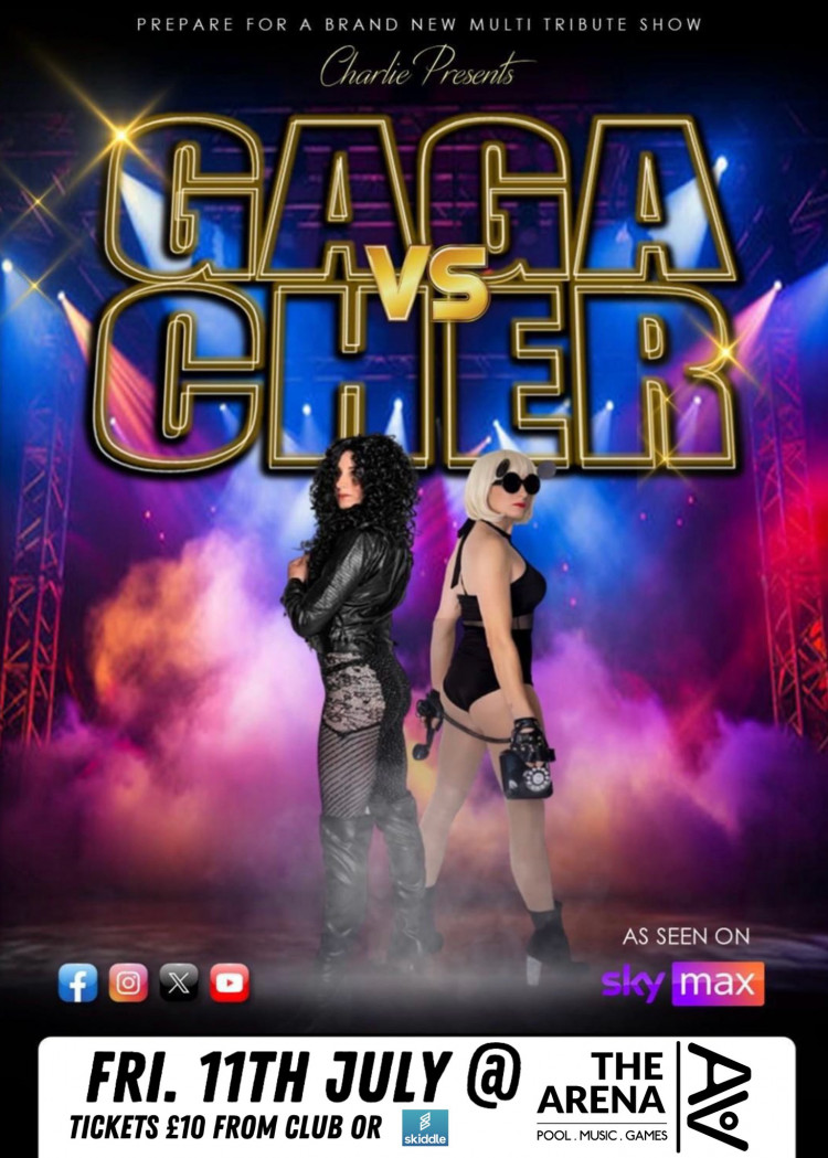 Gaga vs Cher Tribute.