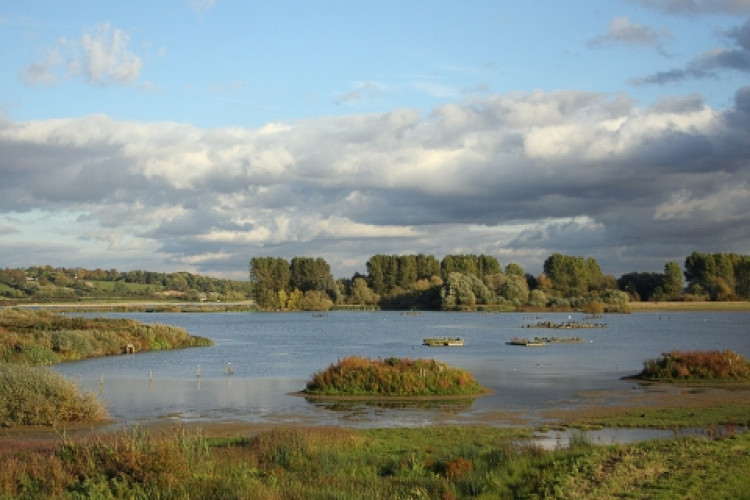 Rutland Council finds finding about local water pollution 'alarming' (Photo: Leicestershire and Rutland Wildlife Trust)