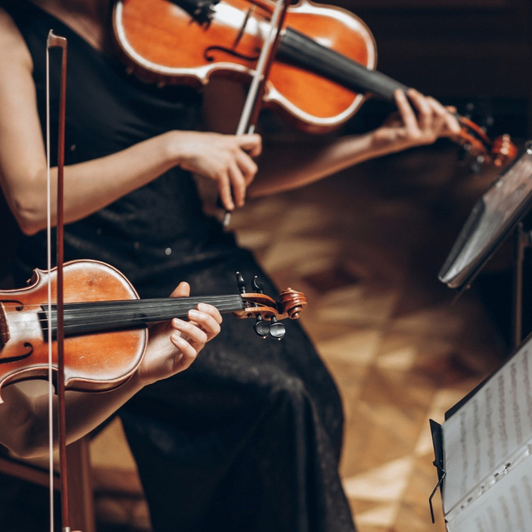 Summer Music: Strings 1 day course - Landmark Summer School Summer Music: Strings 1 day course - Landmark Summer School