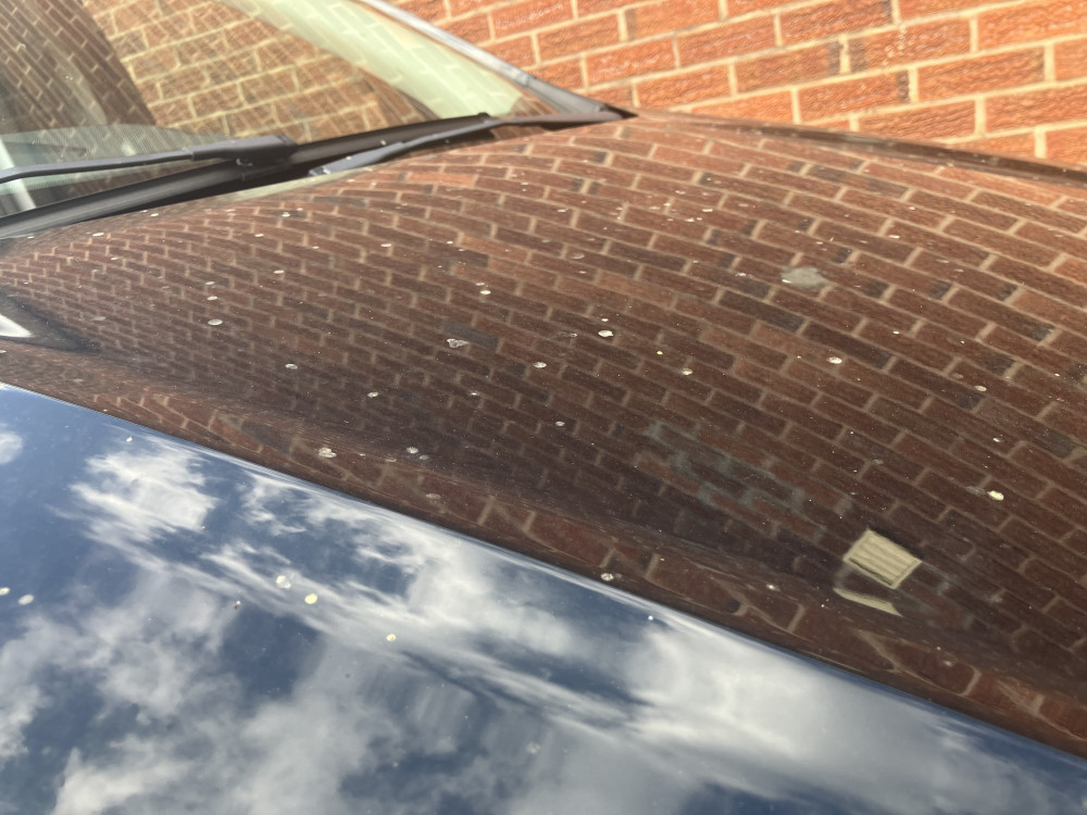 Yellow blobs have been appearing on cars, windows and bins in Stockport, leaving some residents confused and concerned (Image - Declan Carey LDRS) Yellow blobs have been appearing on cars, windows and bins in Stockport, leaving some residents confused and concerned (Image - Declan Carey LDRS)