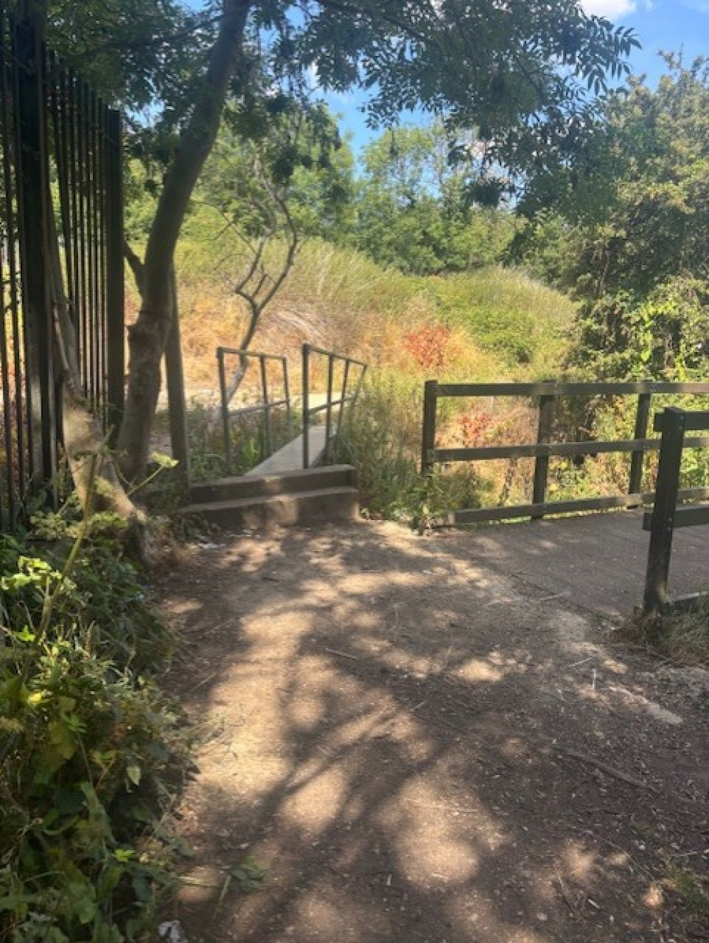 Council's lack of action is a bridge too far for ward councillor Council's lack of action is a bridge too far for ward councillor