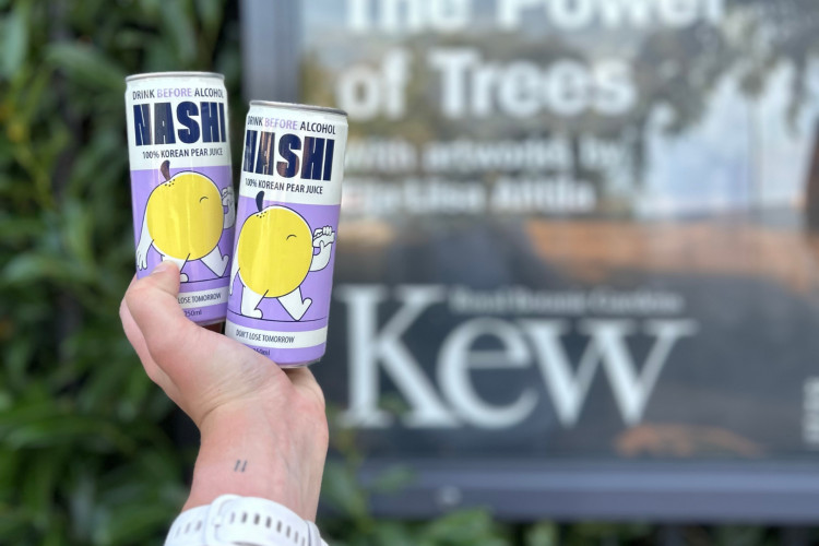 Nashi recommend their 100% Korean pear juice drink to help concert goers enjoy the music without the hangover the following morning (credit: Nashi Pear Juice).
