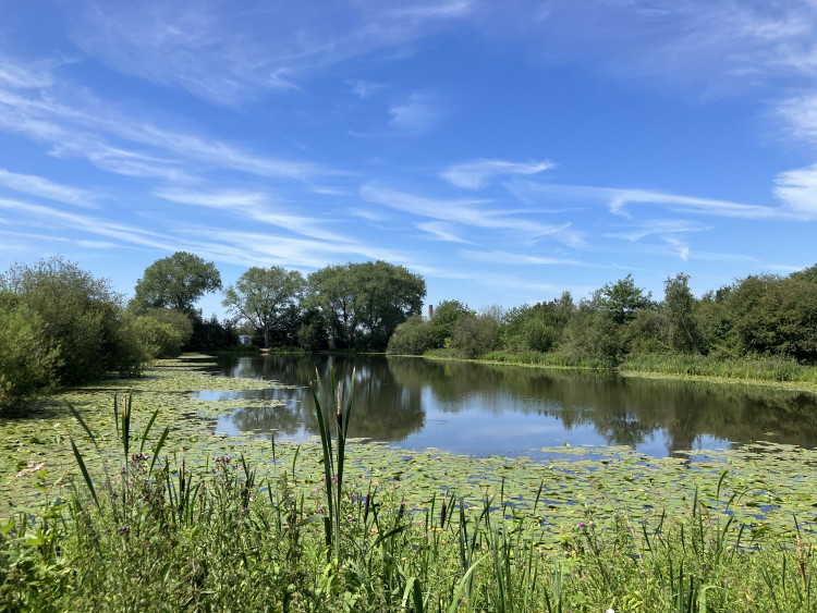 The plans include 200 new homes based on land off Station Road in Reddish, near the boundary with Levenshulme (Image - Declan Carey / LDRS)