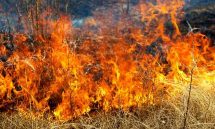 The A39 is closed between Glastonbury and Wells due to a field fire.  (File photo: Nub News) 