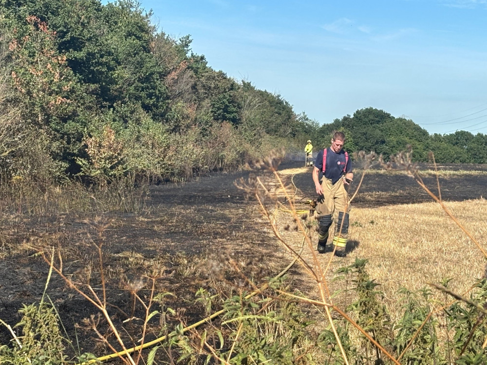 Crews at the fire off Butts Lane damped down flames in the treeline. Crews at the fire off Butts Lane damped down flames in the treeline.