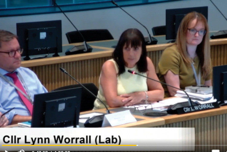 Cllr Lynn Worrall addresses the corporate scrutiny meeting. 