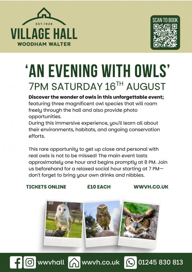 An Evening With Owls An Evening With Owls