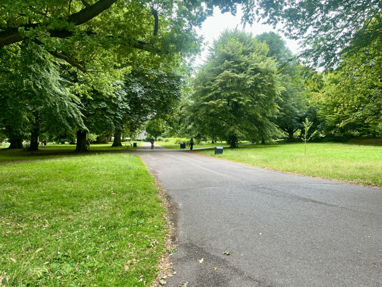 New natural play surfaces like bark and woodchip are transforming Ealing’s playgrounds into safer, more sustainable spaces (credit: Cesar Medina).