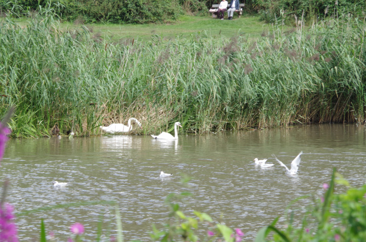 A drought has been declared in the West Midlands by the Environment Agency (image by Richard Smith)
